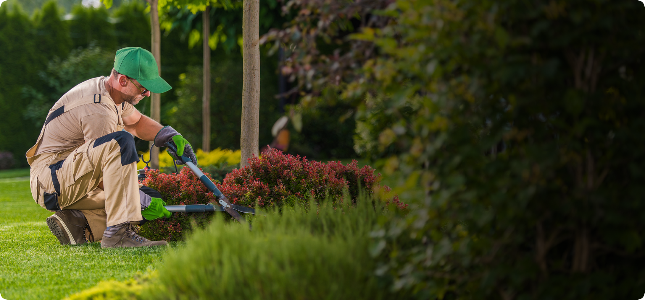 Home garden background